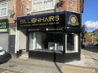 Billionhairs ltd