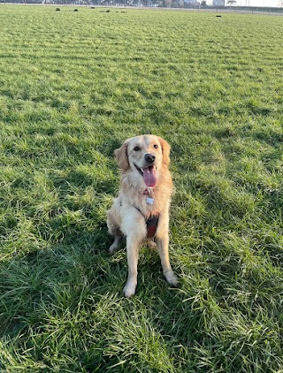 Henlow Veterinary Centre