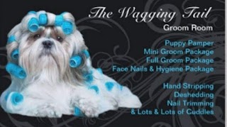 The Wagging Tail Groom Room Skelmersdale