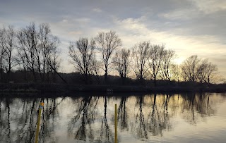 Thorpe Marshes