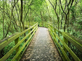 WaterWorks Centre Nature Reserve & Middlesex Filter Beds