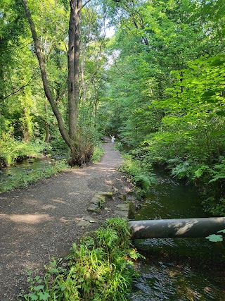 Rivelin Glen