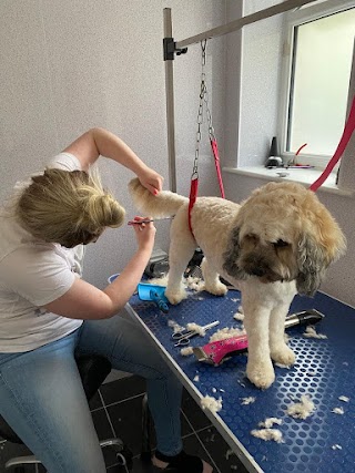 Katie's Dog Grooming