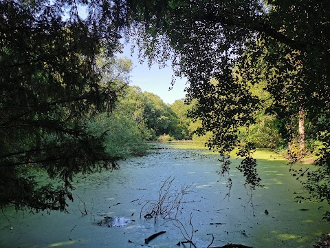 Abney Hall Park