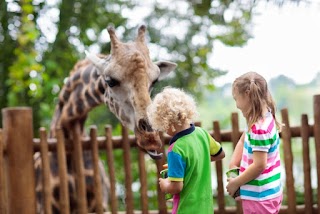 Day Out With The Kids