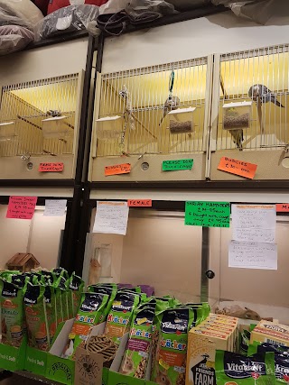 Broadway Pet Stores