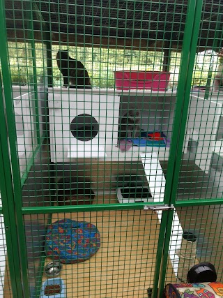 Banstead Boarding Cattery