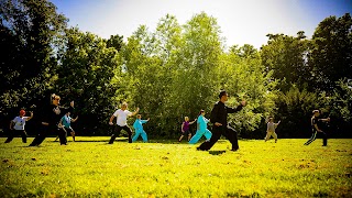 Shaolin Kung Fu Academy Ireland