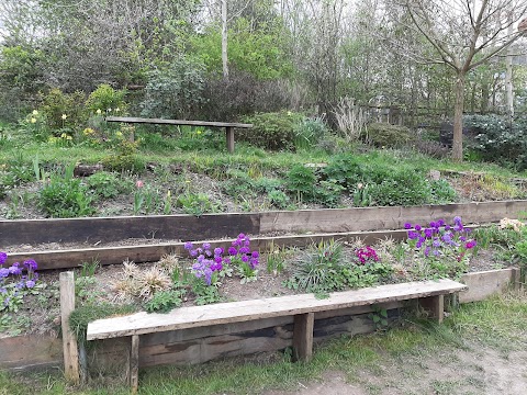 Churwell Urban Woodlands - Daffil Woods