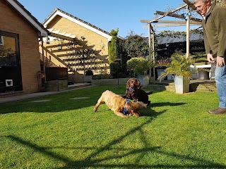 Doggie Holiday Homes