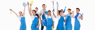 Lincs Domestic Services