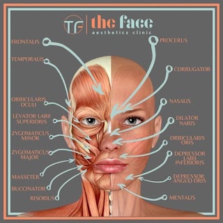 The Face Aesthetics Clinic