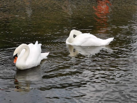 Nene Wetlands Nature Reserve