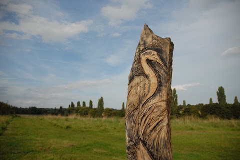 Countess of Chester Country Park