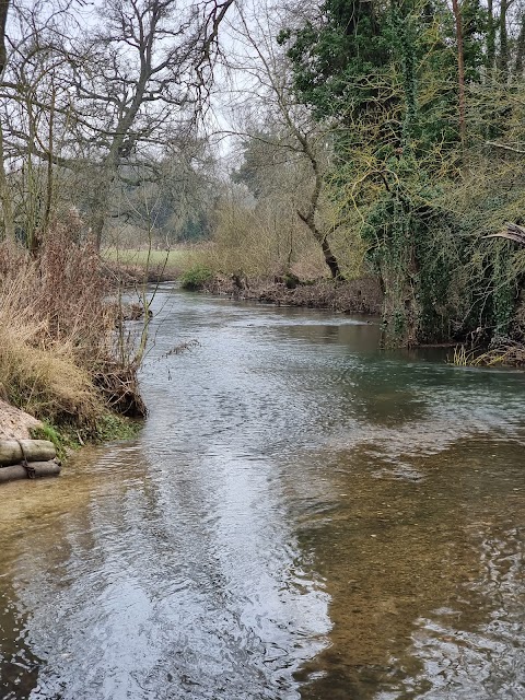 Bowthorpe Marsh