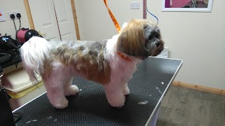 Diamond Dogs Grooming