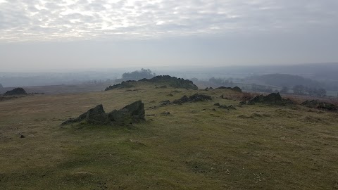 Bradgate Park