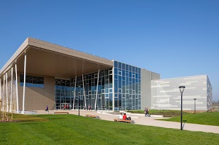 Sports and Wellness Hub