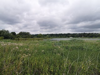 Thorpe Marshes