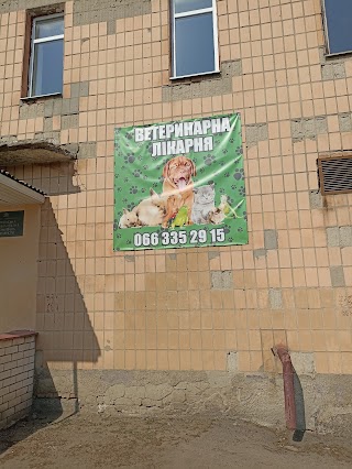 Промінь життя