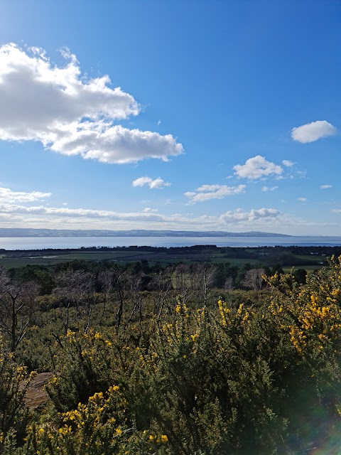 Thor's Stone, Thurstaston