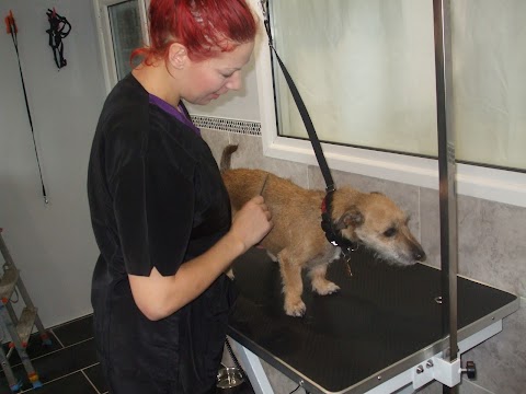 Chop and Tails dog grooming