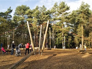 Forest Swings Play Area