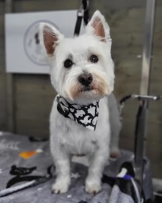 Róisín's Dog Grooming