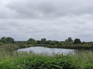 RSPB Surlingham Church Marsh