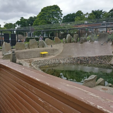 Edinburgh Zoo