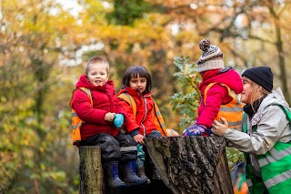 Kindergarten Forest Hill (Forest Hill Branch)