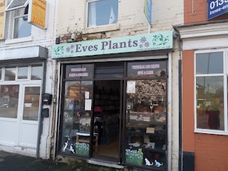 Eves Plants