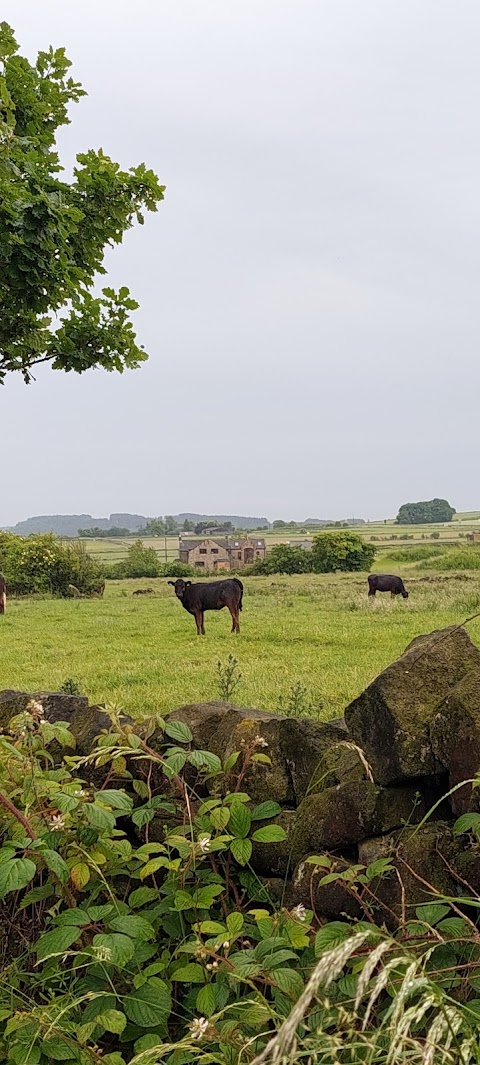 Ernest's Retreat Glamping Site (Static Caravan Park)