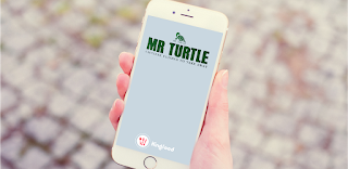 Mr Turtle