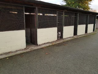 Vesington Boarding Kennels