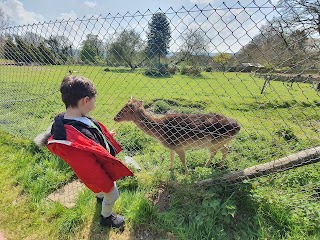 Dartmoor Wild Life Park