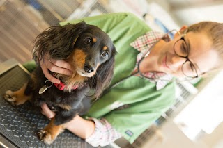 Croydon Veterinary Surgery