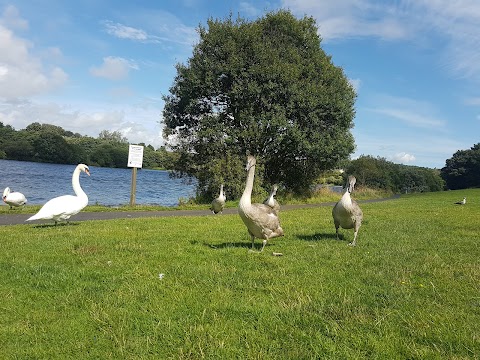 Townhill Country Park