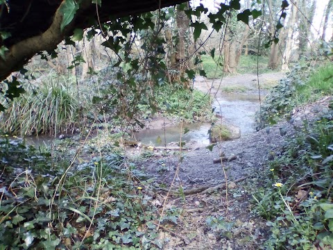 Peacock Meadow Park