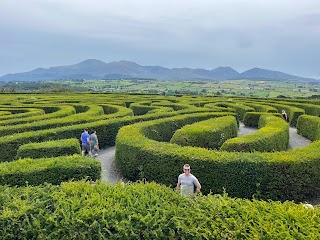 The Peace Maze