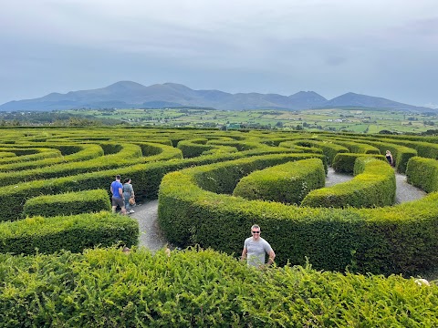 The Peace Maze