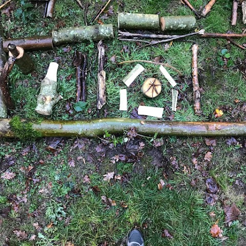 Forest Schools Birmingham