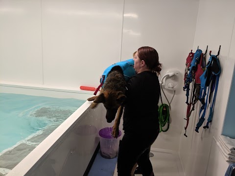 K9 Splash Hydrotherapy