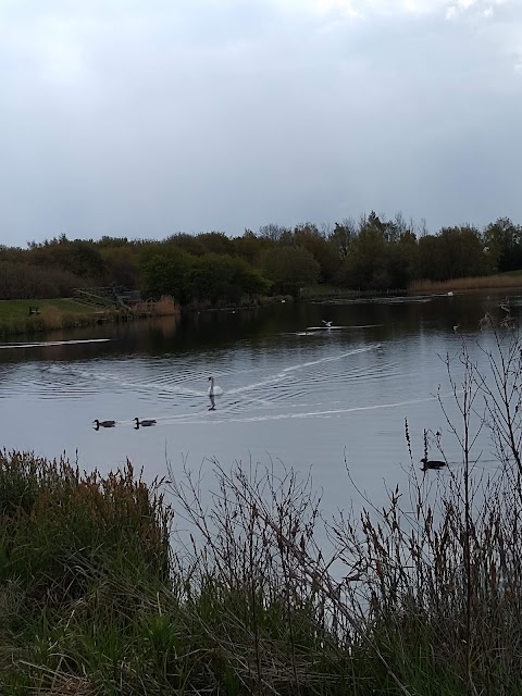 Blackleach Country Park