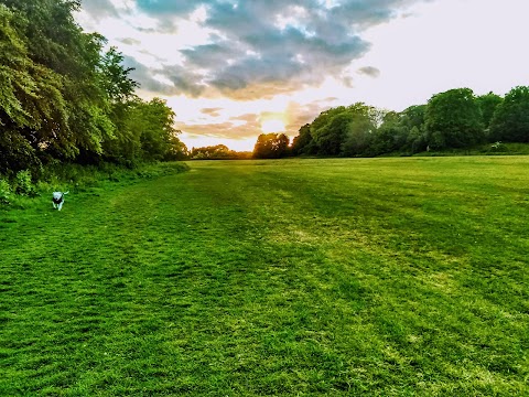 Duck Pond Lane - Park & Garden