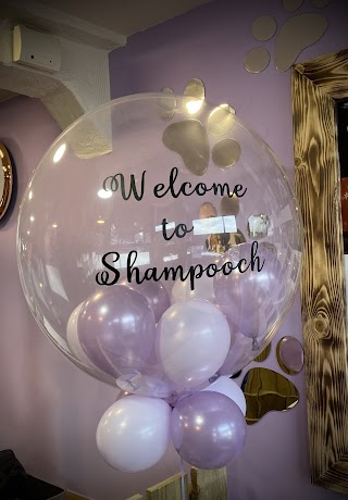 Shampooch Dog Grooming Northowram