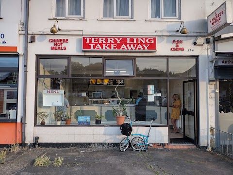 Terry Ling's Chinese & Fish Bar