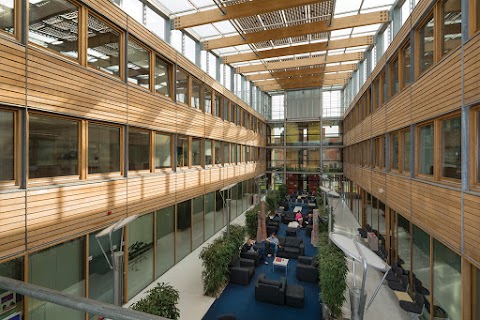 University of Nottingham International College