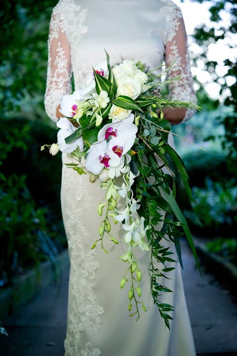 HONEYSUCKLE FLORIST OF CHESTER