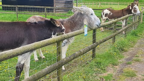 Fairfield Animal Centre